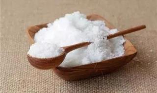 蚊子有多少颗牙齿