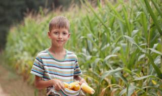 玉米男孩的外貌 玉米男孩原图恐怖