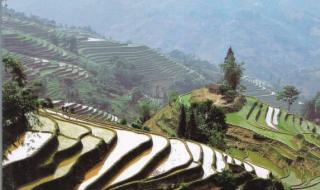 八上地理第四章主要内容 八年级上册地理复习