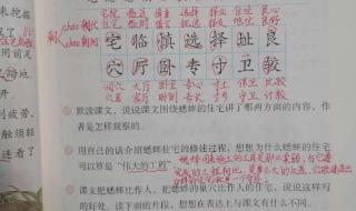 四年级语文上册第10课字怎么组词 组词四年级上册