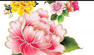 中秋节画画大全图片 中秋节画画大全图片