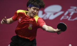 王楚钦樊振东师傅是谁 樊振东王楚钦谁是男单冠军