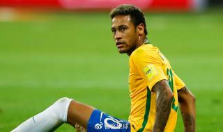 fifa足球世界内马尔